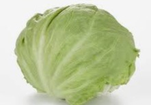 Lettuce Romaine /Pkt